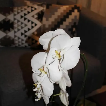 Sound Of Music World Salisburgo